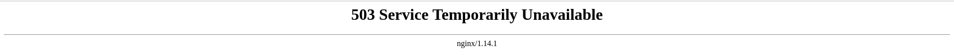 nginx503.png